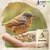25 kg Streufutter Vogelfutter für Vögel Wildvögel Vogelfood