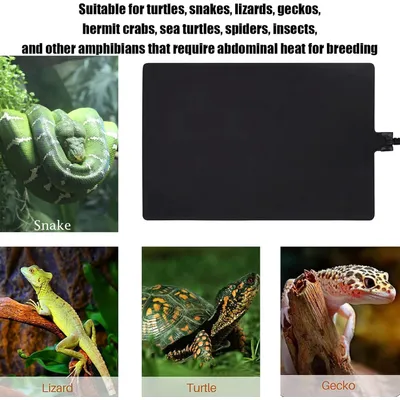 Tapis chauffant reptile plantes serre réglable Tapis chauffant reptile plantes serre réglable