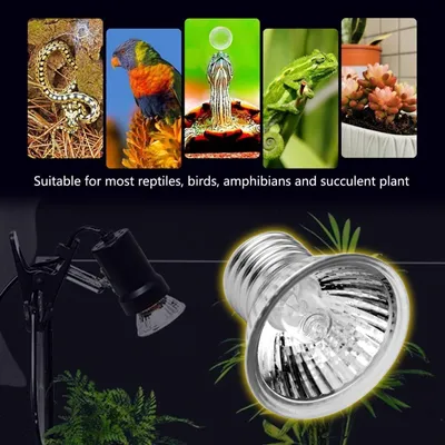 Lampe UVA UVB tortue reptile, chauffage aquarium solaire