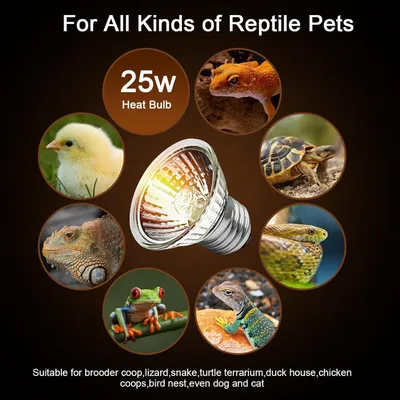 Lampe UVA UVB tortue reptile, chauffage aquarium solaire