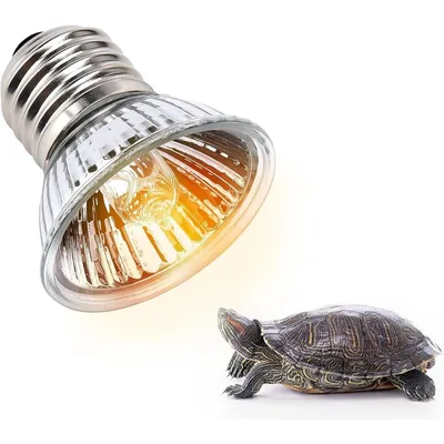 UVA/UVB-Lampe für Schildkröten und Reptilien, Solar-Aquarienheizung