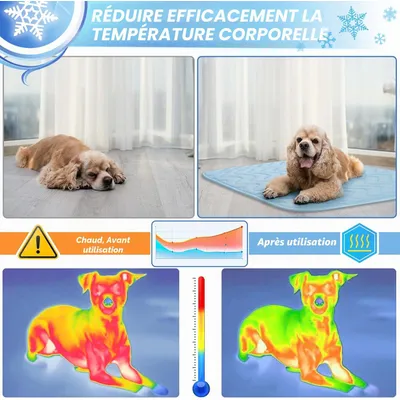 Atmungsaktive Kühlmatte aus Eisseide für Hunde und Katzen Atmungsaktive Kühlmatte aus Eisseide für Hunde und Katzen