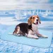 Atmungsaktive Kühlmatte aus Eisseide für Hunde und Katzen