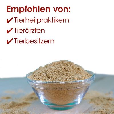 Fit-BARF Grünlippmuschel