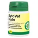 ZytoVet forte