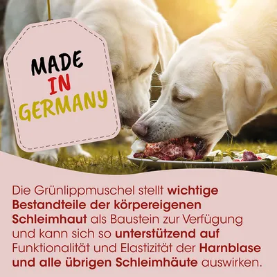 Fit-BARF Grünlippmuschel Fit-BARF Grünlippmuschel