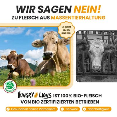 Hungry Lions - Hochwertiges BIO Katzennassfutter