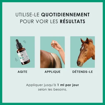 EUSPHERA CBD-Öl für Pferde – unterstützt Vitalität und Regeneration EUSPHERA CBD-Öl für Pferde – unterstützt Vitalität und Regeneration