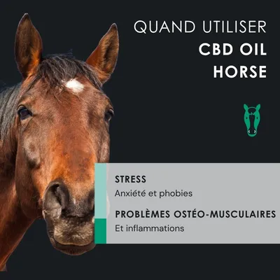 EUSPHERA CBD-Öl für Pferde – unterstützt Vitalität und Regeneration EUSPHERA CBD-Öl für Pferde – unterstützt Vitalität und Regeneration