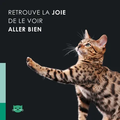 EUSPHERA CBD-Öl für Katzen – beruhigend und vitaminreich, 10 ml