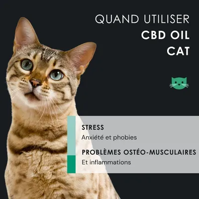 EUSPHERA Huile de CBD pour chat – calmante et riche en vitamines, 10 ml