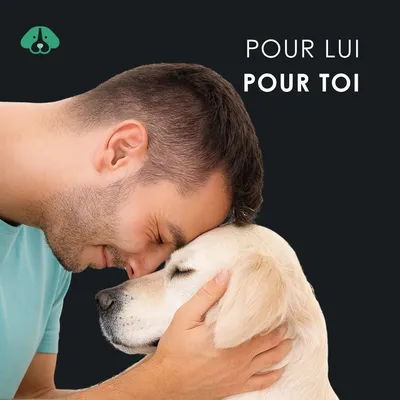 EUSPHERA Huile de CBD pour chien – relaxante et vitaminée, 30 ml