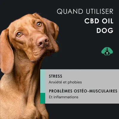 EUSPHERA Huile de CBD pour chien – relaxante et vitaminée, 30 ml
