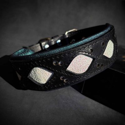 Das Avatar-Halsband