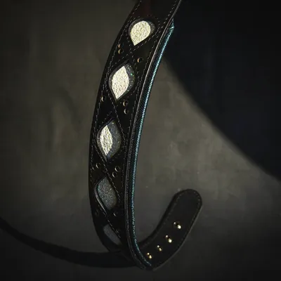 Bestia Collier pour chien Avatar