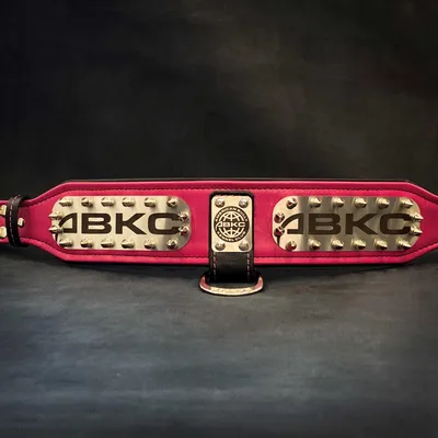 Das ABKC-Halsband Das ABKC-Halsband