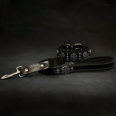 Maximus Silber Hundehalsband
