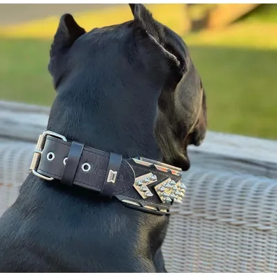 Das Midas Halsband Das Midas Halsband