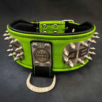 Das ABKC-Halsband Das ABKC-Halsband
