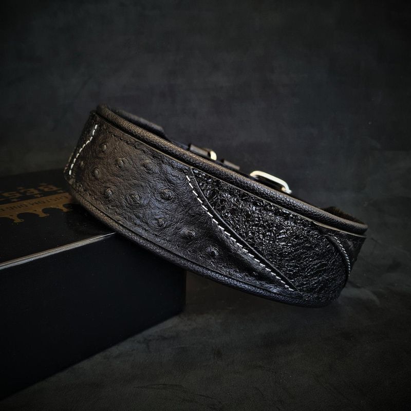 Das Korona Halsband Schwarz