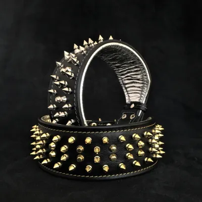 Das Krone Halsband Das Krone Halsband