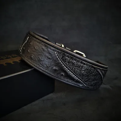 Das Korona Halsband Schwarz Das Korona Halsband Schwarz