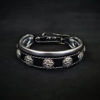 Das Halsband Heki. Das Halsband Heki.
