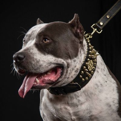 Das Imperium Halsband