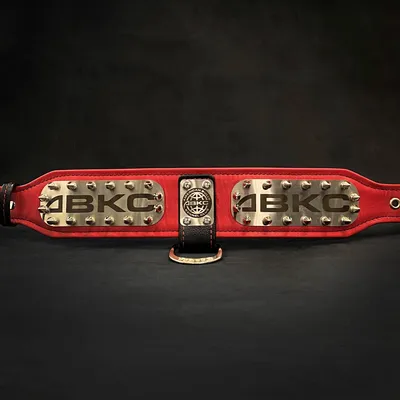 Das ABKC-Halsband Das ABKC-Halsband