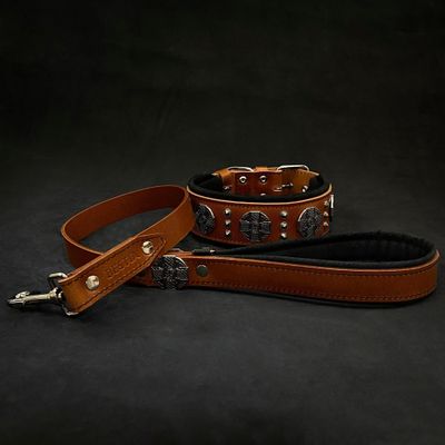 Maximus Silber Hundehalsband