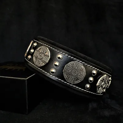 Maximus Silber Hundehalsband Maximus Silber Hundehalsband