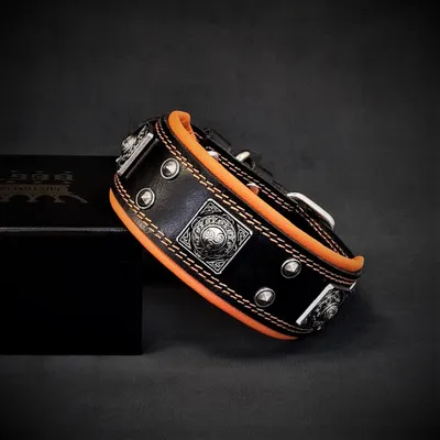 Das Eros-Halsband ist 5 cm breit Das Eros-Halsband ist 5 cm breit