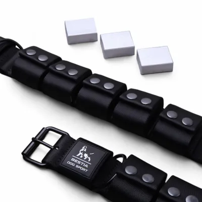 Bestia Dog Sport Collier de dressage lesté (2,3 kg amovibles)