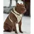 Maximus Halsband in weiss