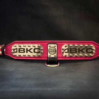Das ABKC-Halsband
