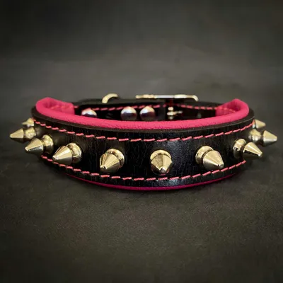 Spiky Halsband