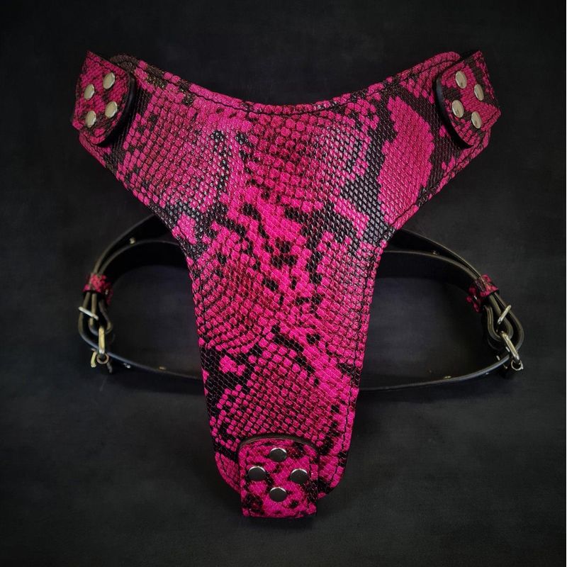 Das Geschirr Rock Python PINK