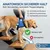 Vordere Tragehilfe für Hunde