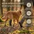 Sprunggelenk Durchtrittigkeits Bandage für Hunde 135° & 165° Sprunggelenk Durchtrittigkeits Bandage für Hunde 135° & 165°