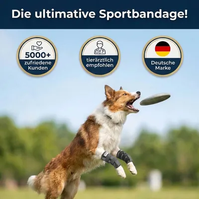 Sportbandage für Hunde Sportbandage für Hunde