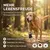 Durchtrittigkeits Bandage für Hunde mit Turbocast Durchtrittigkeits Bandage für Hunde mit Turbocast