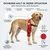 Liegeschwielen Bandage für Hunde Liegeschwielen Bandage für Hunde