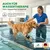 Gewichtsmanschetten für Hunde | Muskelaufbau & Therapie | Nature Pet Gewichtsmanschetten für Hunde | Muskelaufbau & Therapie | Nature Pet