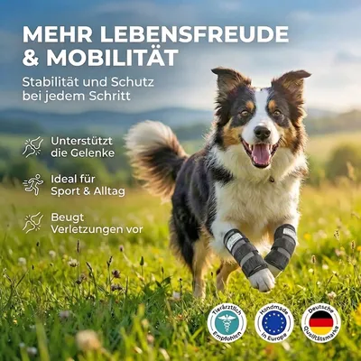 Sportbandage für Hunde Sportbandage für Hunde