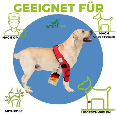 Liegeschwielen Bandage für Hunde Liegeschwielen Bandage für Hunde