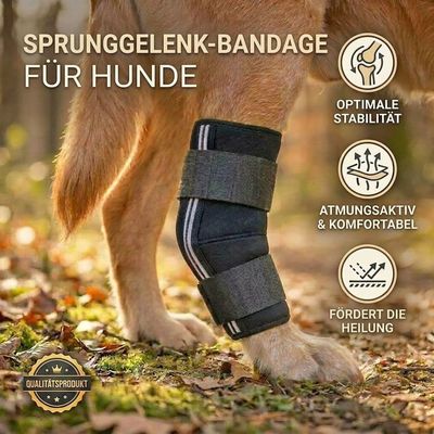 Sprunggelenk SCHUTZ  Bandage für Hunde