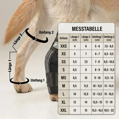 Sprunggelenk SCHUTZ  Bandage für Hunde