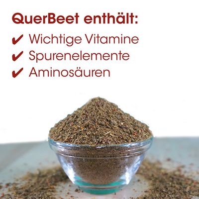 Fit-BARF QuerBeet