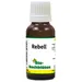 Bio-Bachblüten Rebell