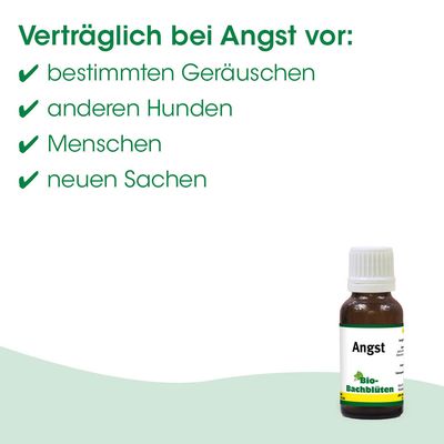 Bio-Bachblüten Angst